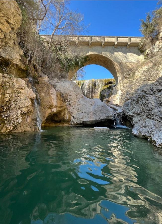 Sous Les Etoiles En Provence, Gite Les Bambous Lurs Exterior foto